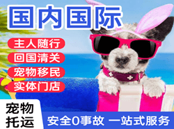 衡阳南岳机场快递国际宠物托运 【国